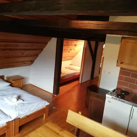 Turisticna Kmetija Plaznik Guest house *