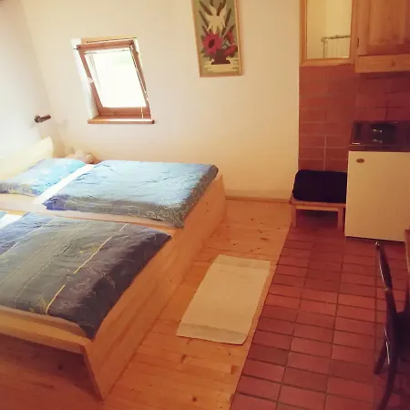 Turisticna Kmetija Plaznik 3* Ljubno