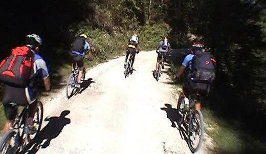 Turisticna Kmetija Plaznik بيت ضيافة Ljubno