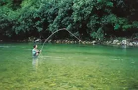 بيت ضيافة Turisticna Kmetija Plaznik Ljubno