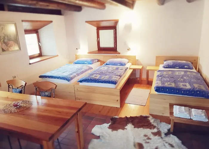 Πανσιόν Turisticna Kmetija Plaznik Ljubno