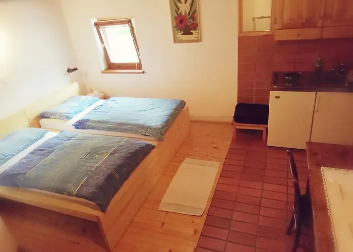 Turisticna Kmetija Plaznik 3* Ljubno